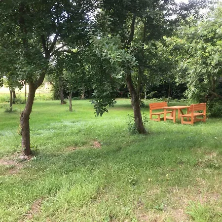 Marijanas Ferienwohnungen Gründeich Ein alter wunderschöner Resthof aus dem neunzehnten Jahrhundert mit Weidefläche und Obstwiesen Bitte nicht buchen wenn Sie eine unkrautfreie moderne Parkanlage erwarten Es ist ein rustikaler Hof Holtgast Exterior foto